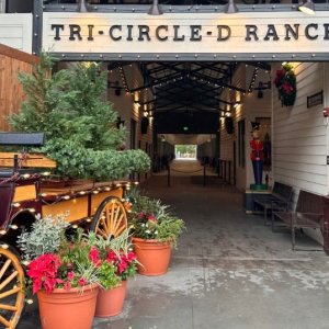 tri-circle-d-ranch-christmas-entrance.jpg