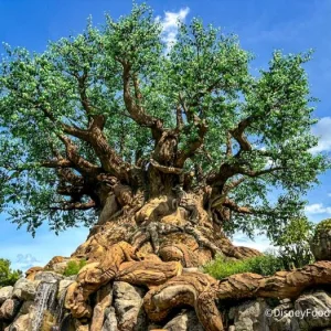 2024-wdw-disneys-animal-kingdom-tree-of-life-stock-700x525.webp