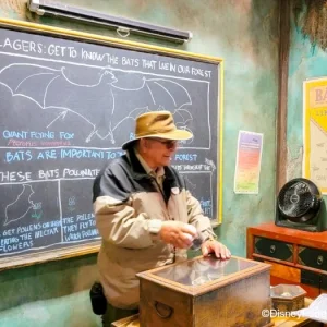 2022-wdw-dak-atmo-bats-cast-member-700x525.webp