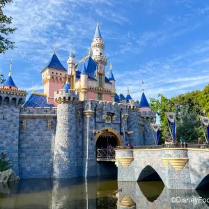 2022-dlr-disneyland-sleeping-beauty-castle-stock-700x505.webp