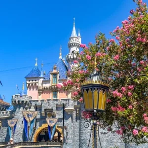 2024-dlr-disneyland-resort-princess-media-event-create-your-world-23-700x525.webp