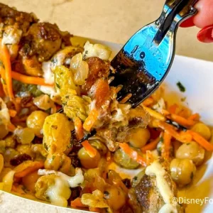2024-wdw-epcot-food-and-wine-festival-tangierine-cafe-grilled-kebab-with-carrot-chickpea-sala...webp