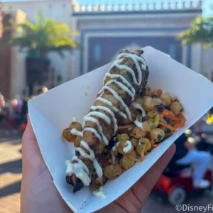 2025-wdw-epcot-world-showcase-morocco-tangierine-cafe-chermoula-chicken-2-700x525.webp