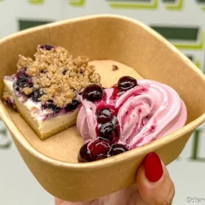 Magical Guides-Blueberry-Crumble-Cake-Farmers-Feast-Booth-2025-EPCOT-Flower-and-Garden-Festival-4-700x472.webp