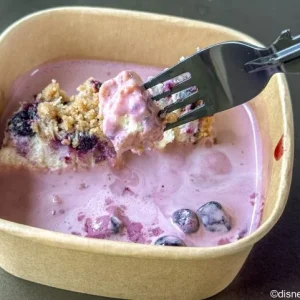 Magical Guides-Blueberry-Crumble-Cake-Farmers-Feast-Booth-2025-EPCOT-Flower-and-Garden-Festival-2-700x481.webp