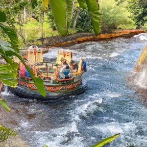 2021-wdw-walt-disney-world-animal-kingdom-kali-river-rapids-195-700x525.webp