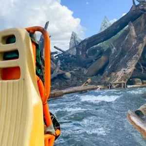 2021-wdw-animal-kingdom-kali-river-rapids-reopening-7-517x600.webp