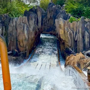 2022-wdw-atmosphere-dak-asia-kali-river-rapids-hill-ride-700x583.webp