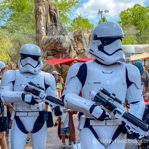 2022-wdw-atmo-dhs-swge-star-wars-galaxys-edge-stormtroopers-4-659x600.webp