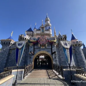 2025-dlr-main-entrance-70th-castle-700x525.webp